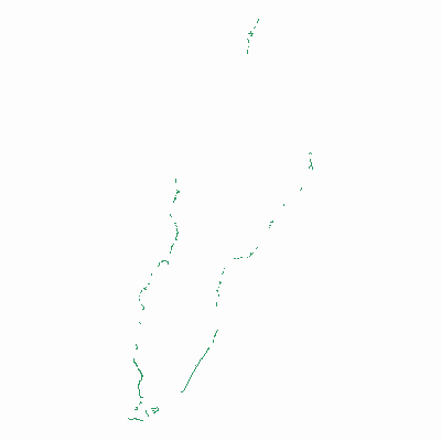 Export Image
