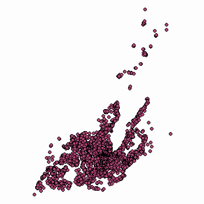 Export Image