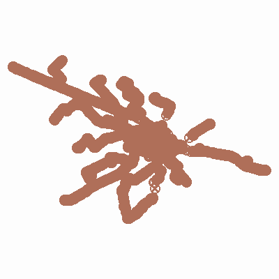 Export Image
